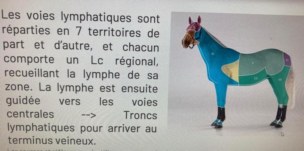 Sabine Meuret, psychologue, hypnose spirituelle